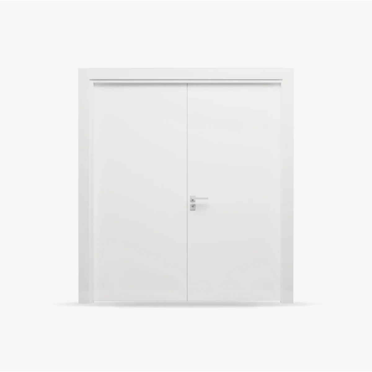 Flush Double Door